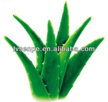 Halal & Kosher Cert Factory Supply Aloe Barbadensis Leaf Extract