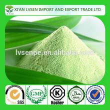High Quality 5%-98% 10:1 50:1 100:1 Pandan leaf extract powder