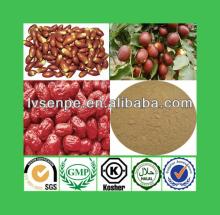 Best selling for 100% natural  jujube  chinese date  extract   jujube   extract 