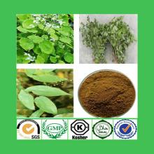 High quality 5-60% Icariin p.e.