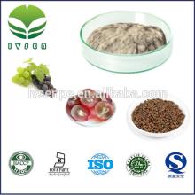 100% nature and polyphenols  grape   seed   grape   seed   extract   grape   seed   extract   powder 