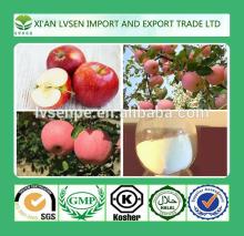 Quality warranted Apple Peel Extract 98% Phlorhizin Extract