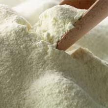 WHEY POWDER,EGG POWDER, EGG YORK POWDER, EGG WHITE POWDER, WHOLE EGG POWDER