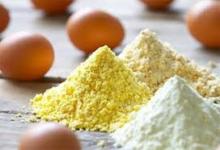 EGG POWDER, EGG YORK POWDER, EGG WHITE POWDER, WHOLE EGG POWDER