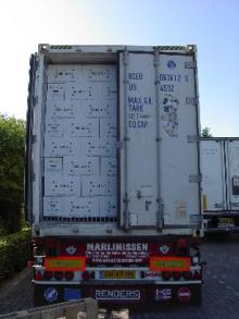 BROWN Chicken Shell Eggs 100% Dutch for Angola
