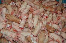Pig Hind Feet | Price: $1,95-$2,85 EXW HOLLAND