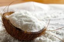 coconut milk powder bulk