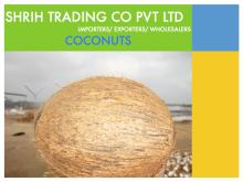 Coconut - Dehusked