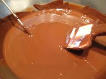 Cocoa Butter