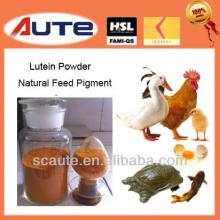  Marigold   Plant   Extract  Lutein Powder:Lutein