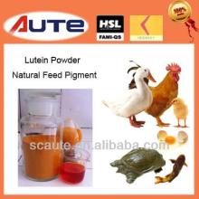 Super  Lutein  powder  feed   grade   lutein  supplement