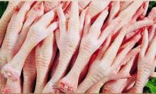 chicken breast, chicken legs,chicken feet, chicken paws