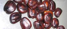 TAMARIND GUM, TAMARIND SPATE,TAMARIND SEED, TAMARIND POWDER