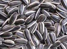 Sunflower Kernels