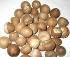 dried Betel Nuts