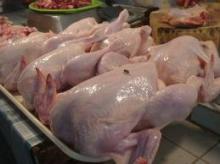 HALA FROZEN CHICKEN FEET PAW WINGS