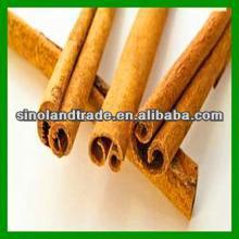 competitive price Ceylon Cinnamon Plant extract
