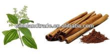 healthy Ceylon Cinnamon Plant extract