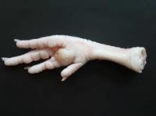 frozen chicken feet