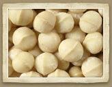 Macadamia Nuts