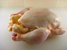 Fresh Chicken Feet and Paws