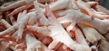 A-Grade Frozen Chicken Feet