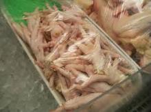 HALAL FROZEN CHICKEN FEET, WINGS, LEG,PAWS,DRUMSTICKS ,CHCICKEN BREAST,HEAD,GIZZARD AND TENDER LOINS
