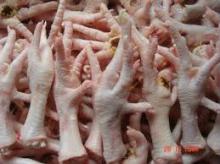 Processed &  Unprocessed   Chicken   Feet 