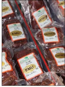 Frozen Ostrich Fillet