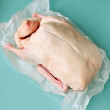 Halal frozen whole duck and parts available for sale in bulk