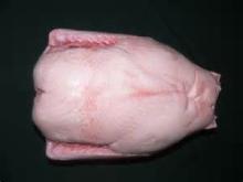 whole frozen duck for sale