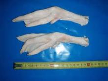 Halal frozen duck feets available for sale in bulk