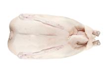 Quality Halal frozen whole Duck, gizards, breast, and liver available
