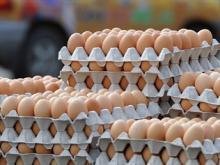 2014 CHICKEN TABLE EGG