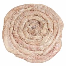 Large intestine