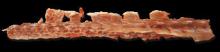 Spinal bone