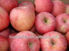 Dalian Fresh Fuji Apple