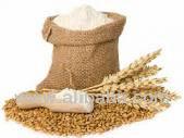  Wheat   flour 