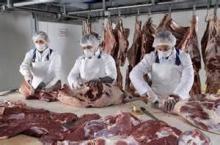 Whole Frozen Pork