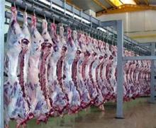 certified halal whole frozen pork