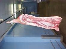 Frozen pork half carcass