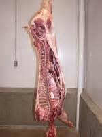 Pork Sides (Carcasses)