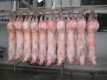 Pork
