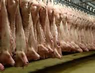 Frozen Pork Carcass