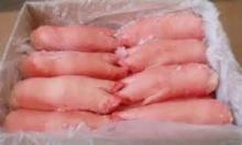 Frozen Pork Hind Feet