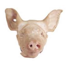 Frozen pork head