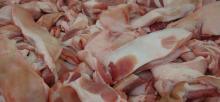 Fresh &  Frozen   Pork   Carcass 