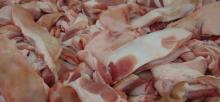 Frozen Pork Carcass