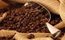 ALKALIZED COCOA POWDER