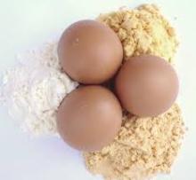 WHITE AND BROWN HATCHING OSTRICH EGGS